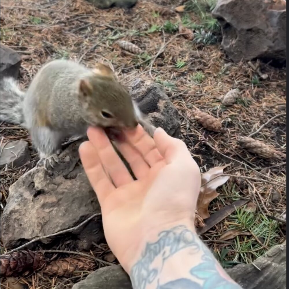 Adam hand-feeding a squirrel outdoors