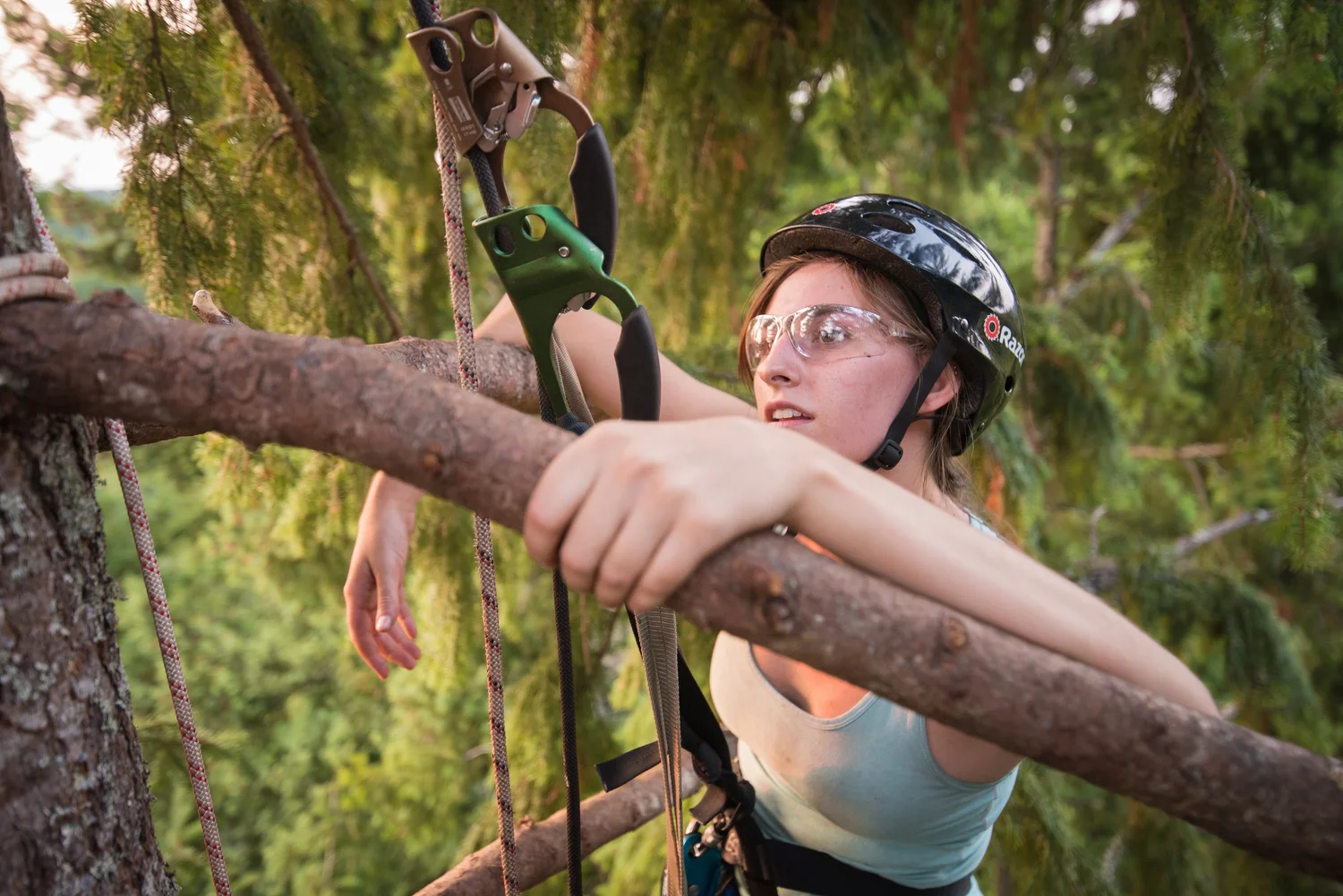 A No Easy Feet member tree climbing on a studio outing
